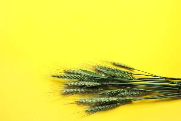 Spille di grano verde su sfondo di colore - Foto, immagini