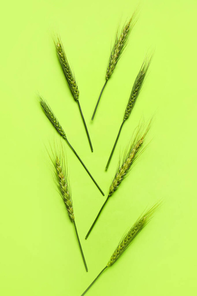 Zielone kolce pszenicy na tle koloru - Zdjęcie, obraz