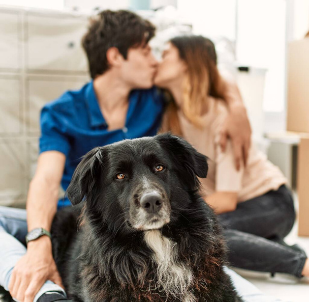 Kafkasyalı genç bir çift yeni evinde köpekle öpüşüyor ve yerde oturuyor.. - Fotoğraf, Görsel