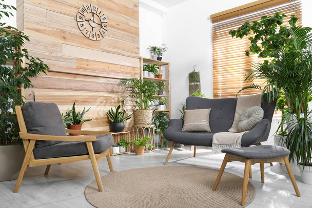 Comfortable furniture and beautiful houseplants in room. Lounge are interior - Fotoğraf, Görsel