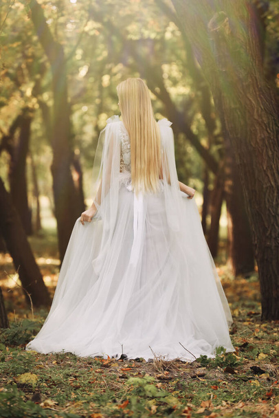 Beautiful girl wearing fairy dress in autumn forest, back view - Φωτογραφία, εικόνα