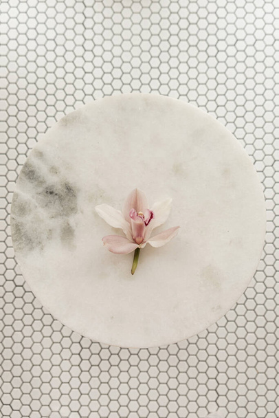 Różowy kwiat pąk na okrągłym marmurowym kamiennym stole na białym heksagonie mozaiki płytki tle podłogi. Minimalistyczne estetyczne światło kwiatowe płaskie świecące, widok z góry koncepcja - Zdjęcie, obraz