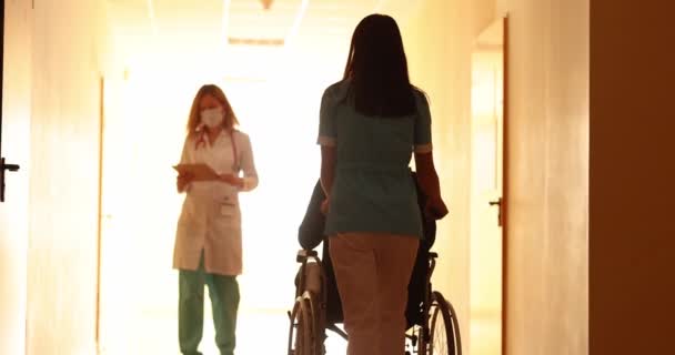 Infermiera guida paziente in sedia a rotelle e saluta collega medico nel corridoio ospedaliero rallentatore 4k film - Filmati, video