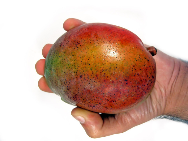 Рука манго
 - Фото, зображення