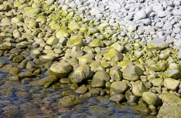 Zöld tengeri vízkövek és tengerparton nyugvó sziklák, Izland - Fotó, kép