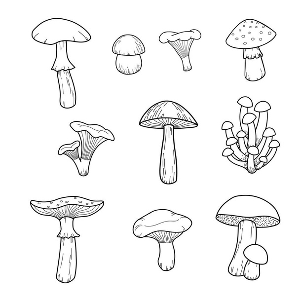 Set of hand-drawn stylized mushrooms. Black and white image on white background. - Wektor, obraz