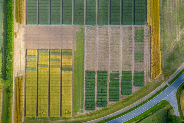 Abstrakte Luftaufnahme der ländlichen Landschaft mit landwirtschaftlichen Feldern durch Versuchsstation. - Foto, Bild