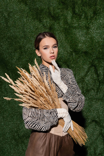young woman in blouse with animal print and white gloves holding wheat spikelets near grassy background  - Foto, imagen