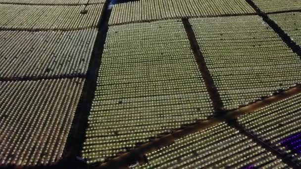 Lohikäärme hedelmä istutus kentät laitamilla Guangxi, Kiina ovat kirkkaasti valaistu yöllä. Lohikäärmeen hedelmäpellot ovat päällä koko yön tuotannon lisäämiseksi. - Materiaali, video