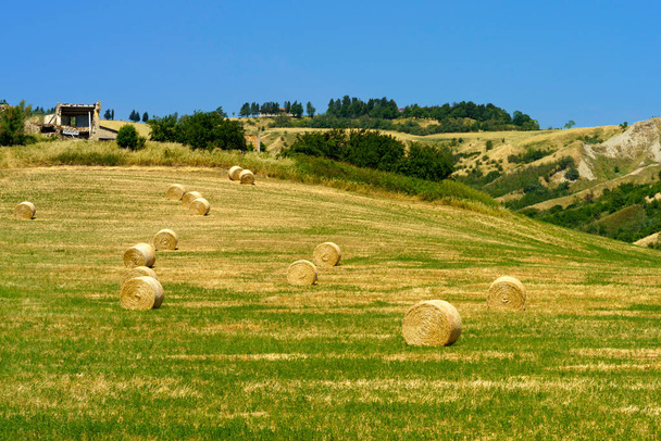 Country landscape near Castrocaro and Predappio, Forli province, Emilia-Romagna, Italy, at springtime - Photo, Image