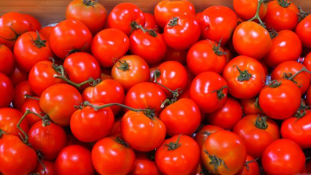 verse tomaten - Foto, afbeelding