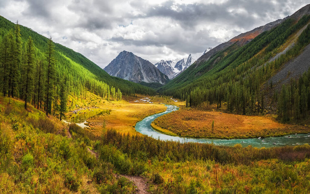 Krásná podzimní horská krajina s ohnutou širokou horskou řekou. Jasná alpská scenérie s velkou horskou řekou a modříny ve zlatých podzimních barvách v podzimním čase. Altai hory, panoramatický výhled - Fotografie, Obrázek