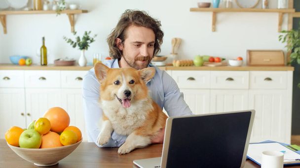 Atraktivní muž pracující s notebookem z domova. Mladý muž s štětkou sedí u stolu a drží v náručí roztomilý pes během dálkové práce - Fotografie, Obrázek