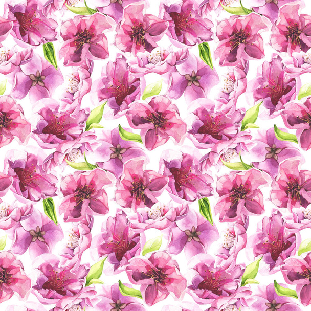 Акварельний пофарбований набір рожевих вишневих квітів
. - Фото, зображення