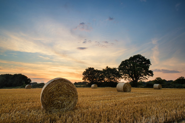 Rural landscape image of Summer sunset over field of hay bales - Photo, Image