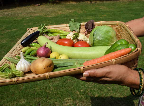 Самка держит плетеную корзину из бамбука со свежими овощами. Индийские азиатские органические овощи. Многие виды овощей, как капуста, морковь, картофель, томатный brinjal - Фото, изображение