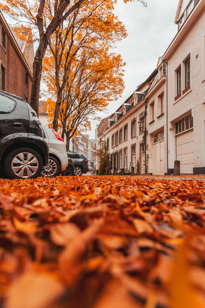 Street view in autumn in Maastricht, a city in Limburg, the Netherlands. - 写真・画像