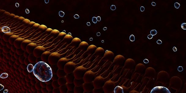 Membrana plasmática de uma célula
 - Foto, Imagem
