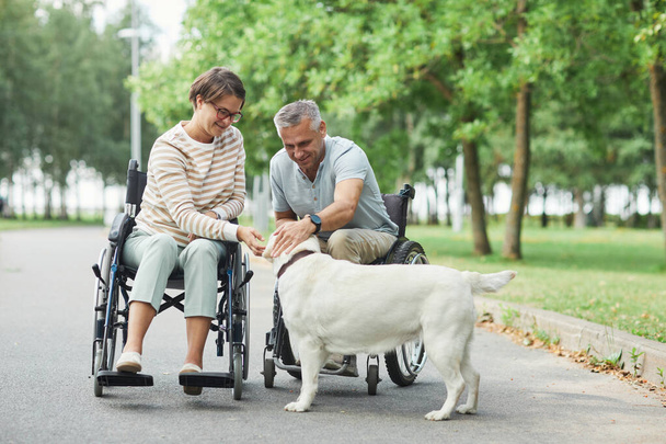 Glückliches Paar im Rollstuhl mit Hund im Park - Foto, Bild