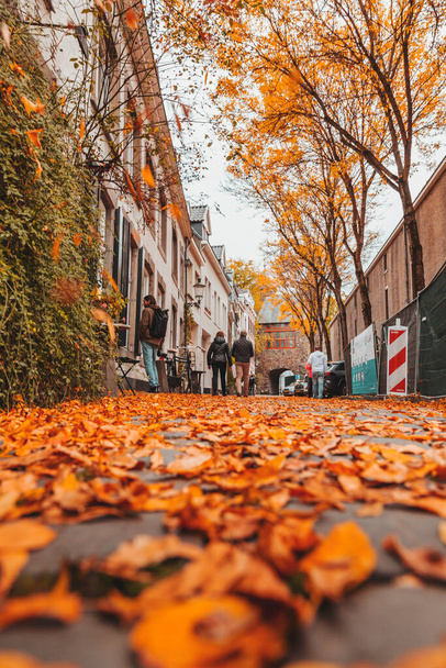 Maastricht, Netherlands - October 16, 2021: Street view in autumn in Maastricht, a city in Limburg, the Netherlands. - 写真・画像