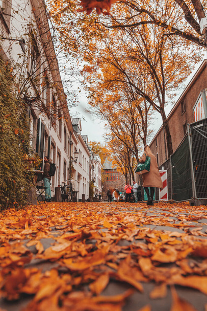 Maastricht, Netherlands - October 16, 2021: Street view in autumn in Maastricht, a city in Limburg, the Netherlands. - 写真・画像