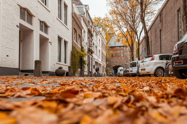 Maastricht, Netherlands - October 16, 2021: Street view in autumn in Maastricht, a city in Limburg, the Netherlands. - Valokuva, kuva