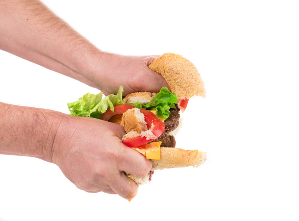 halves of hamburger - Foto, immagini