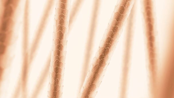 Human hair under the microscope. Close-up. Brown color. 3D illustration. - Photo, Image