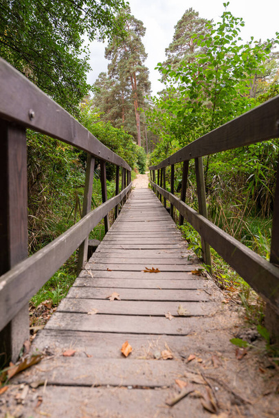 The wooden bridge going through the park between the trees and grass on a cloudy day - Photo, image