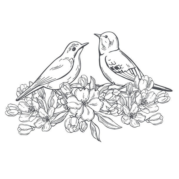 Pájaros y flores de primavera dibujados a mano. Dibujo vectorial ilustración. - Vector, Imagen