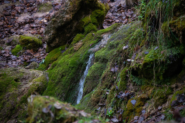 piaszczysta skała, wzdłuż której płynie czysta woda źródlana tworząca wodospad. Kamienie z zielonym mchem. - Zdjęcie, obraz
