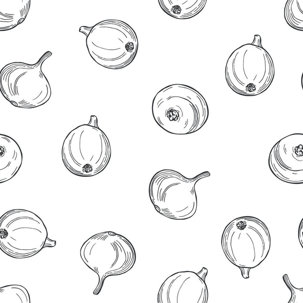 Hand drawn onions on white background. - Vektor, kép