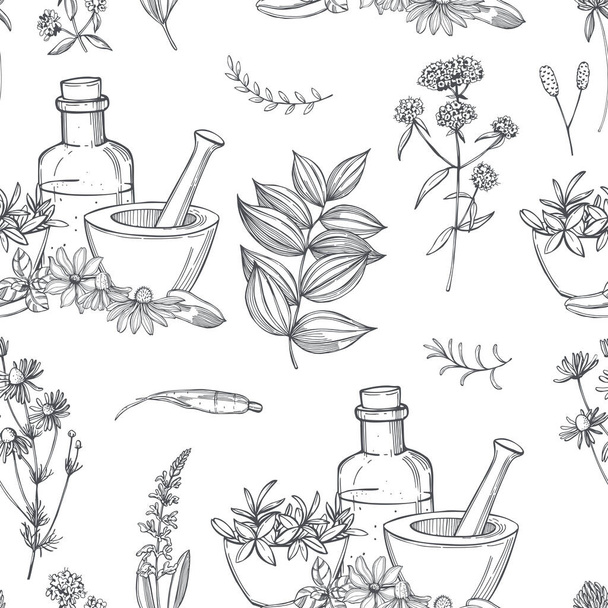 Hand drawn medicinal herbs.  Alternative medicine. Vector seamless pattern - Vetor, Imagem