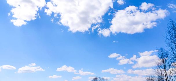 Bayrak güzel bulutlu gökyüzü ve yapraksız ağaç siluetleri - Fotoğraf, Görsel
