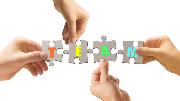 Human hands hold puzzle pieces with the word team. Teamwork concept. - Photo, Image