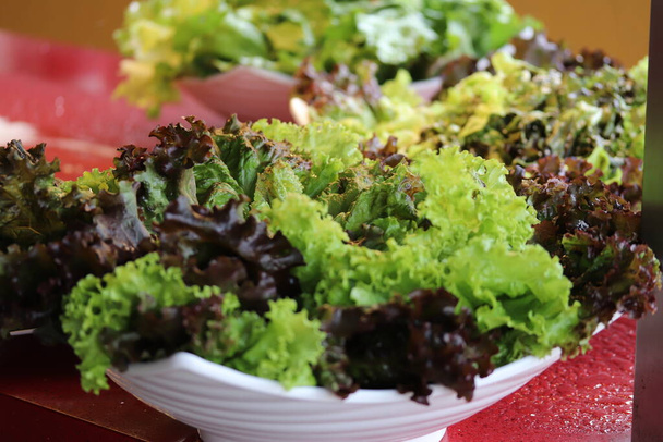 salada nutritiva - légumineuses fortes - Photo, image