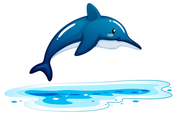 Um golfinho
 - Vetor, Imagem