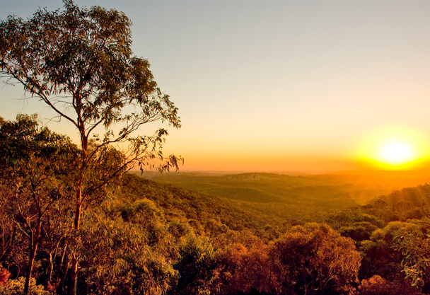 オーストラリア夕焼け - 写真・画像
