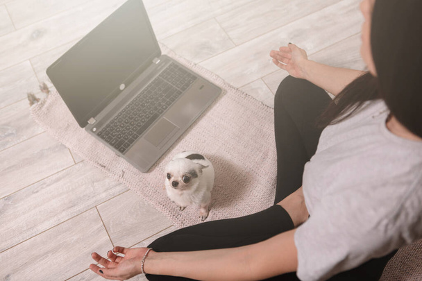 Κορυφαία εικόνα μιας γυναίκας διαλογίζεται σε θέση λωτού μπροστά από το laptop με χαριτωμένο σκυλί της - Φωτογραφία, εικόνα