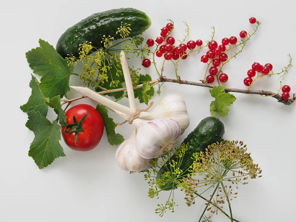 Close-up of a branch of a red currant bush, a bunch of three garlic, two cucumbers, a tomato and dill branches - Foto, Imagem