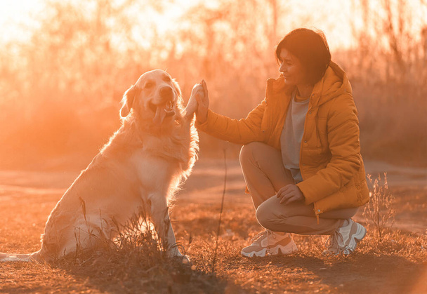 Girl with golden retriever dog - Photo, image