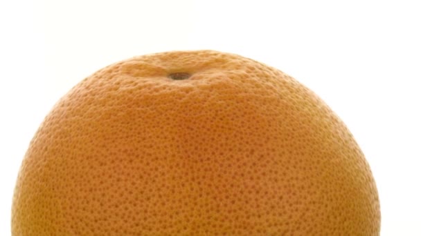 A grapefruit izolált. Sárga citrom fehér alapon. Citrust. izolát - Felvétel, videó
