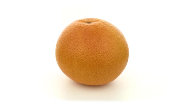 グレープフルーツは単離される。白い背景に黄色のレモン。柑橘類。隔離 - 映像、動画