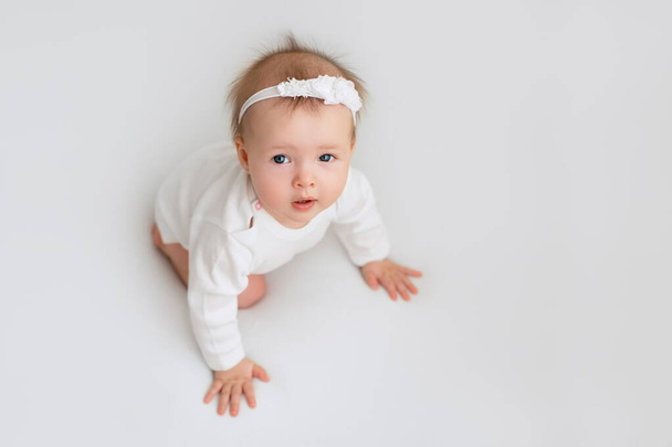 The child just learned to sit. A baby on a white background looks up. Cute little baby girl. A healthy infant with two teeth. Baby care and care. copy space. Interested in the surrounding worlds. - Photo, Image