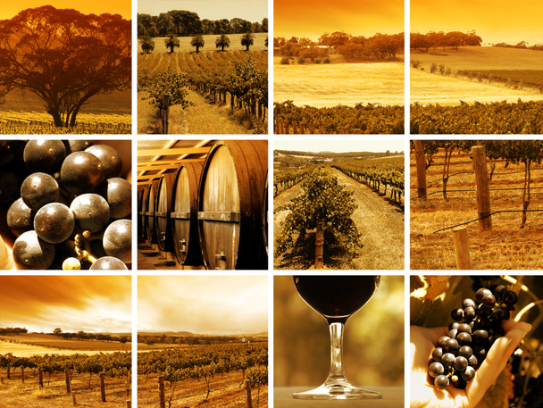 Montaje del vino
 - Foto, Imagen