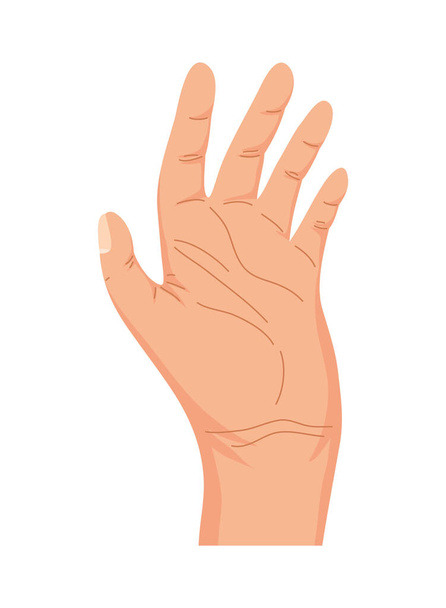 skvělý design ruky - Vektor, obrázek
