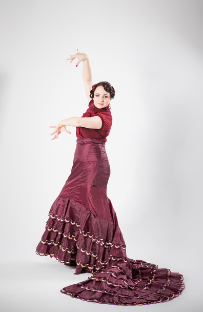 female spanish flamenco dancer - Zdjęcie, obraz
