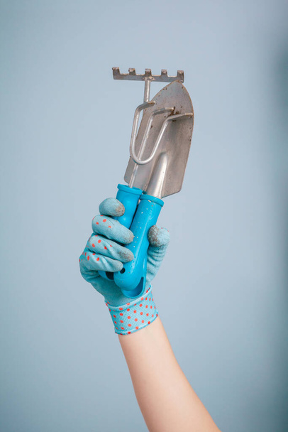 Hand holding garden tools on blue background - Fotó, kép