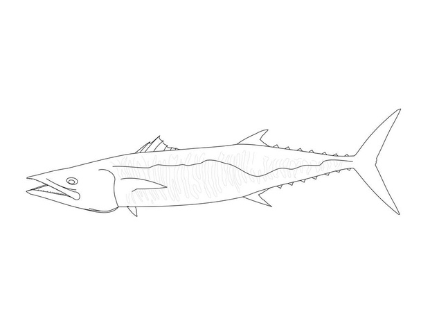 A Simply Outline Of A King Fish - Вектор,изображение