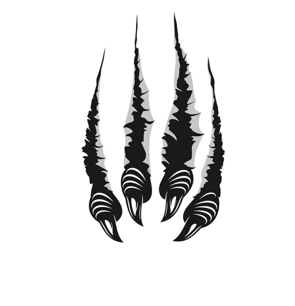 Monster claw marks, scratches of dragon fingers with long nails tears through paper or wall surface. Vector wild animal rips, paw sherds, beast break, four talons traces isolated on white background - Wektor, obraz